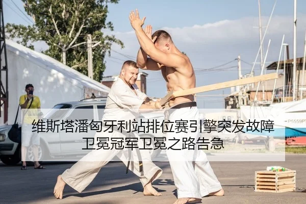 wei-si-ta-pan-xiong-ya-li-zhan-pai-wei-sai-yin-qing-tu-fa-gu-zhang-wei-mian-guan-jun-wei-mian-zhi-lu-gao-ji-2-293.jpg